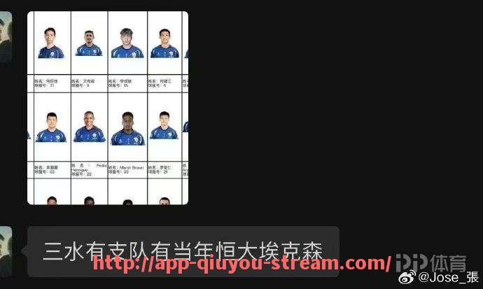 球友体育直播-德甲球队标志的Logo设计趋势有哪些，近年来有哪些变化？（德甲队标图片）